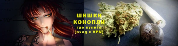 стафф Семилуки