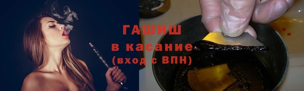 стафф Семилуки