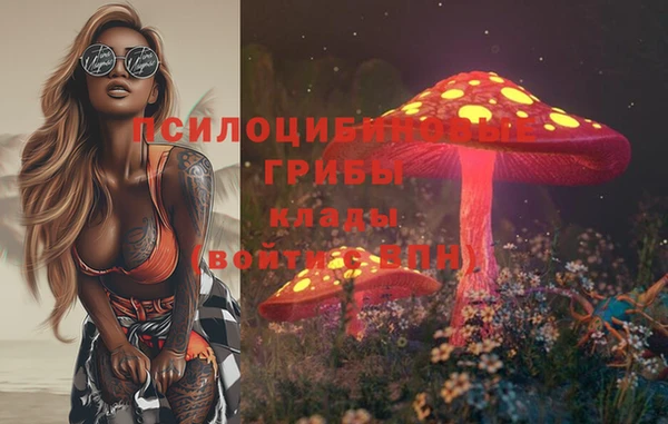 spice Семёнов