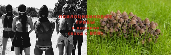 стафф Семилуки