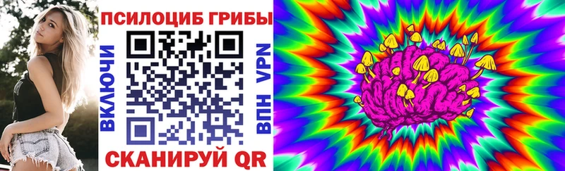 Псилоцибиновые грибы GOLDEN TEACHER Судогда
